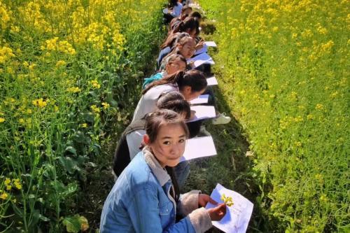 微信图片_201904062111131