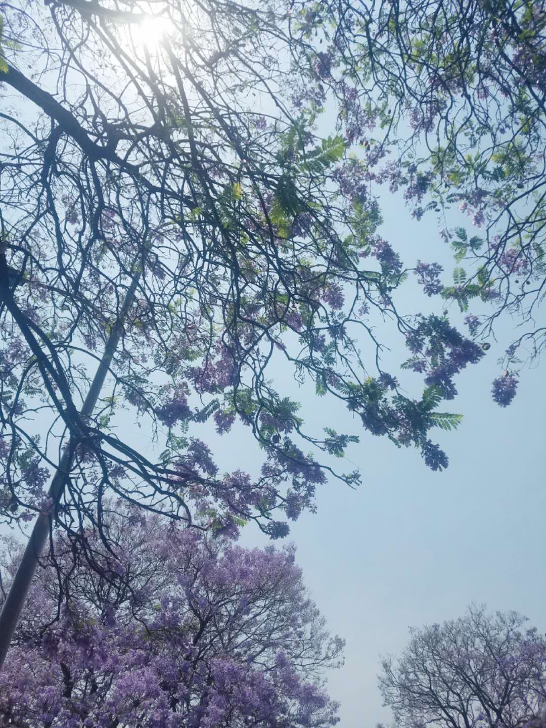 0BF4045D-450B-4621-A950-0FBF270AA2D9