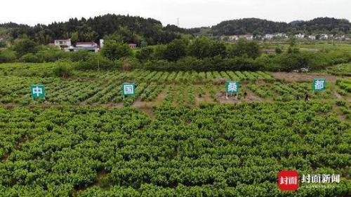 微信图片_20190509092000