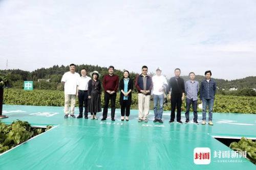 微信图片_20190510094429