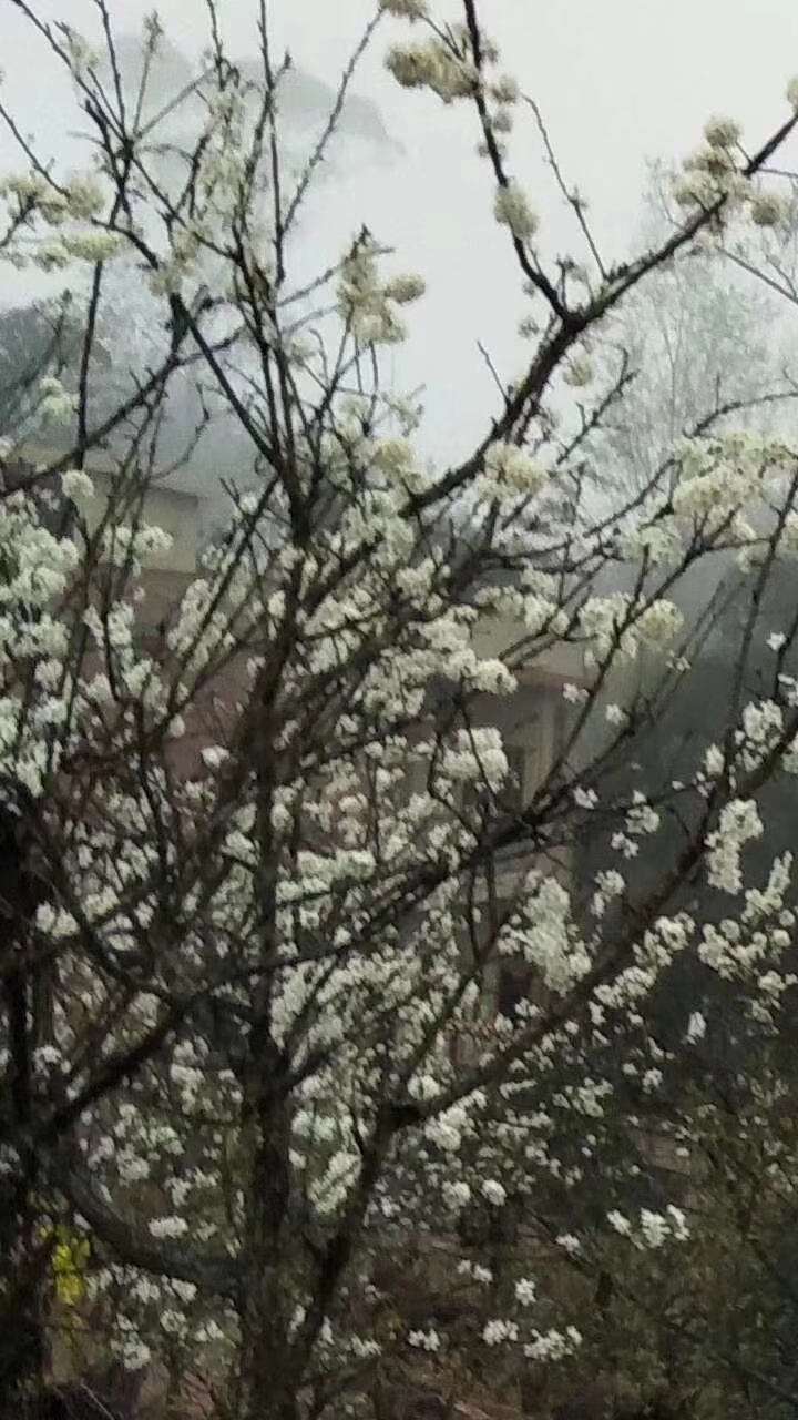 mmexport1557970917518