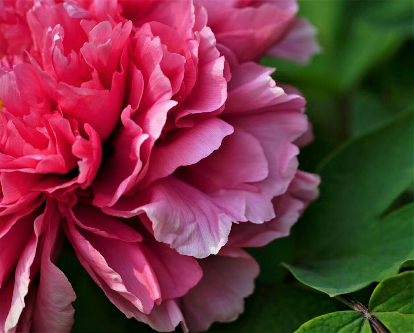 mmexport1558014732793