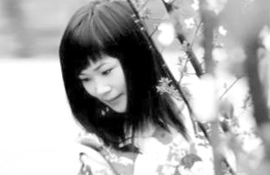 86ab8b0ef28832f13319ba852456506