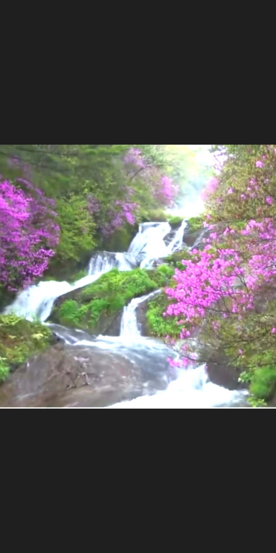 Screenshot_20190601_175913