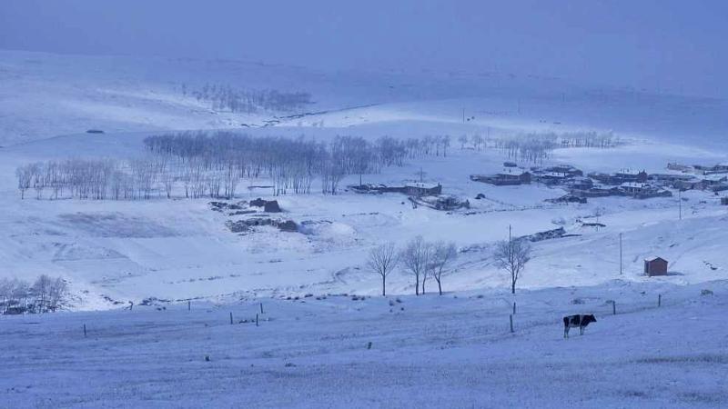 u=124050680,763814333&fm=214&gp=0