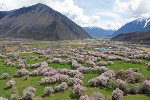 微信图片_20190617102723