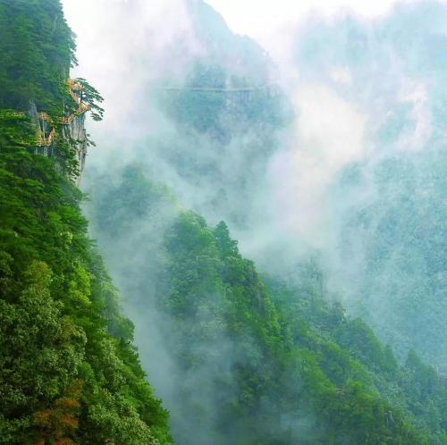 微信图片_20190621113520