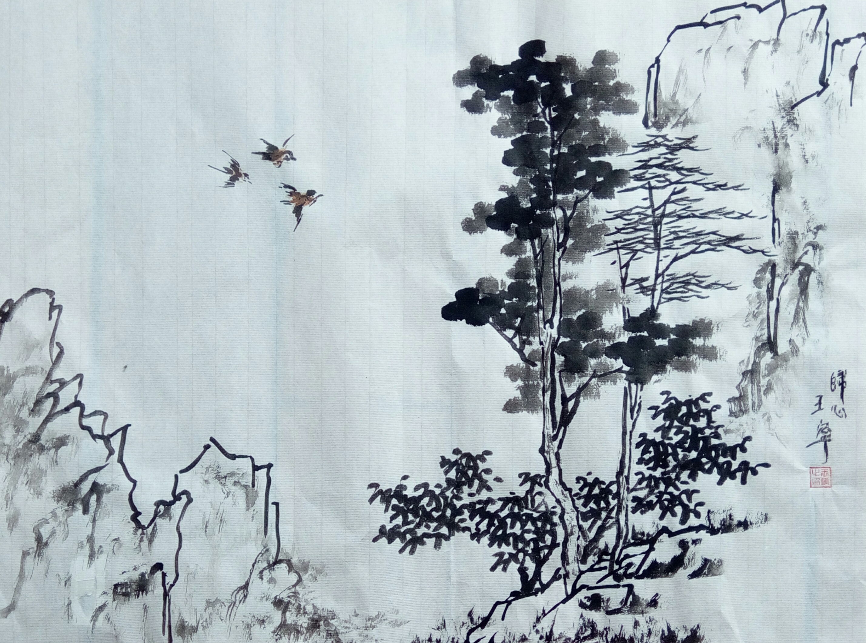 IMG_20190617_155611 IMG_20190617_155611