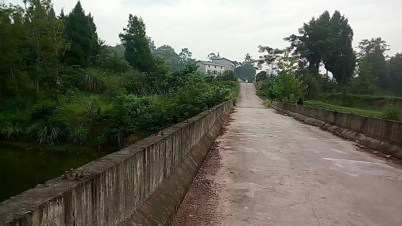 mmexport1564737327225