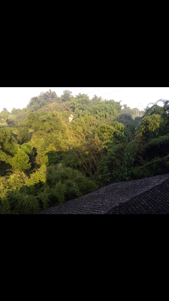 截屏_20190811_085054