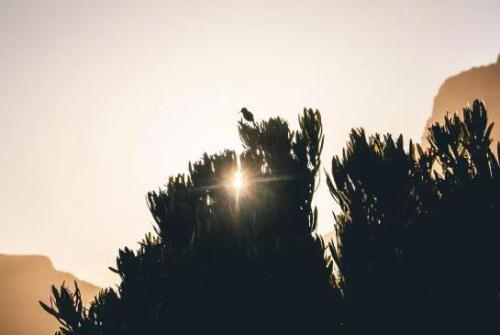 微信图片_20190819111506