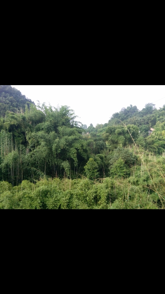 截屏_20191018_101257