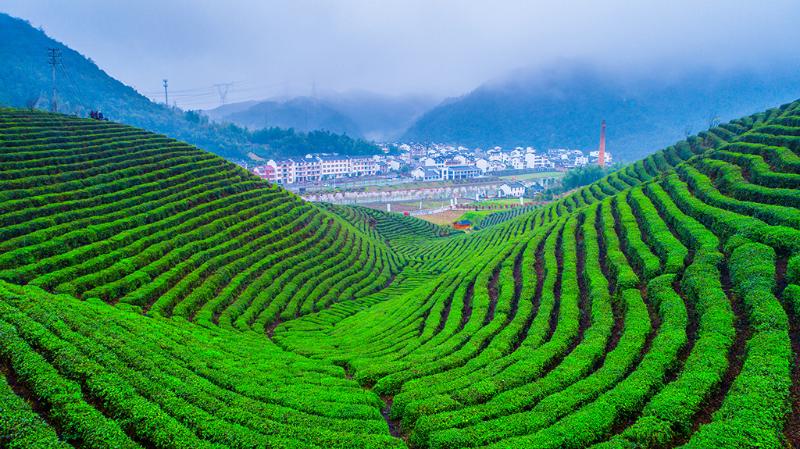 微信图片_20191024104921