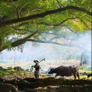 微信图片_20191105103850