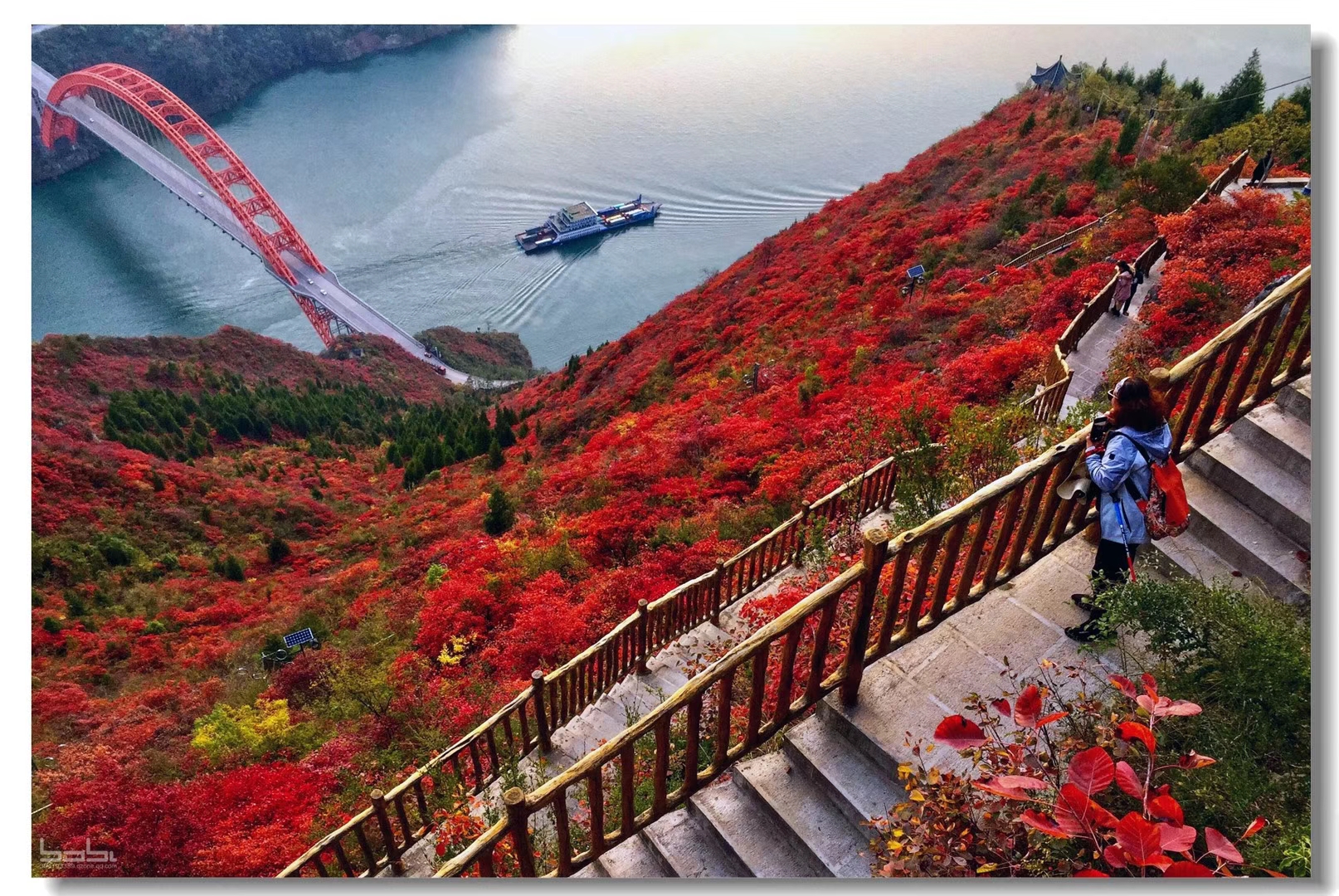 mmexport1575949985578