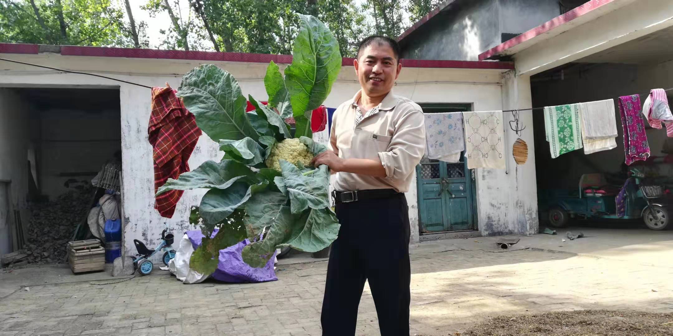 微信图片_20191224102838