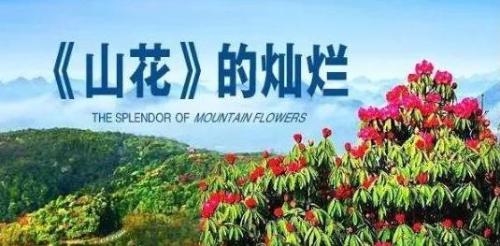 微信图片_20200104104745