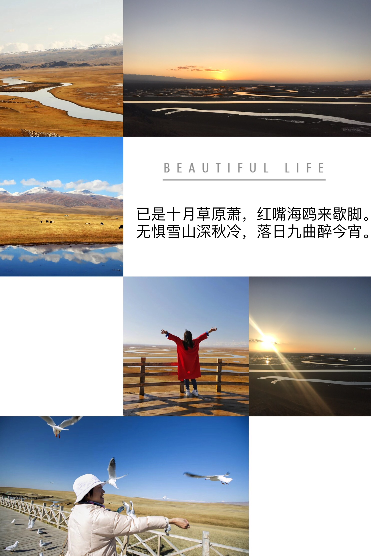 20C08B6C-E63B-4E23-945F-B924F12D5271