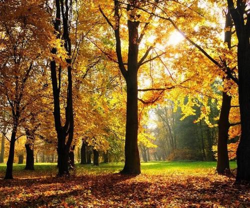 微信图片_20200109100456