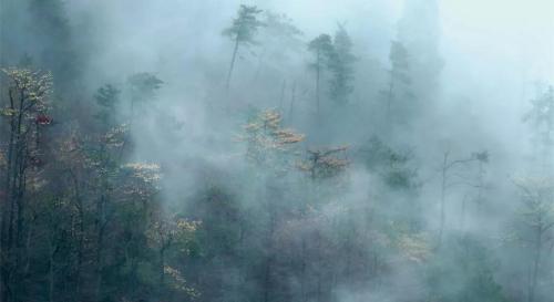 微信图片_20200109100500