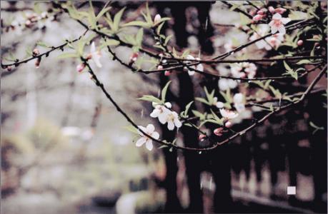 u=863536139,3815395093&fm=26&gp=0