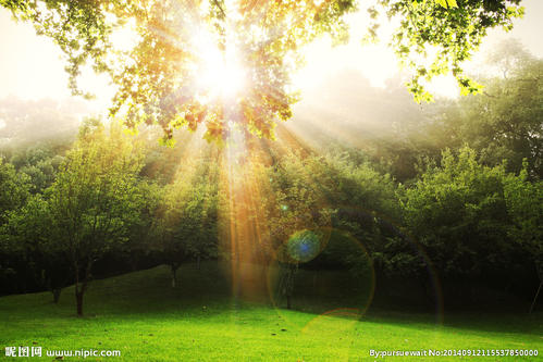 u=1889957067,1642816833&fm=26&gp=0