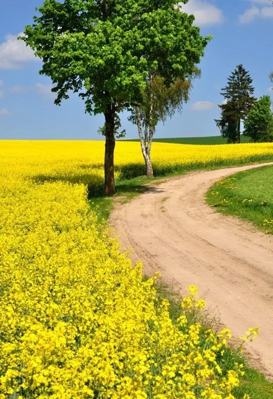 mmexport1579582577848