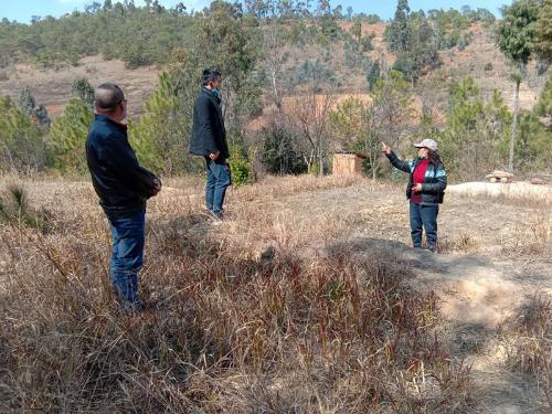 给独居山林的老人送口罩、宣讲防疫措施