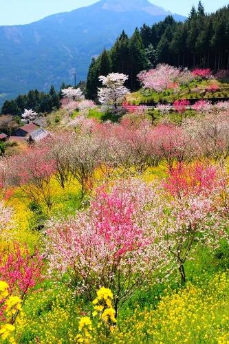 微信图片_20200324100228