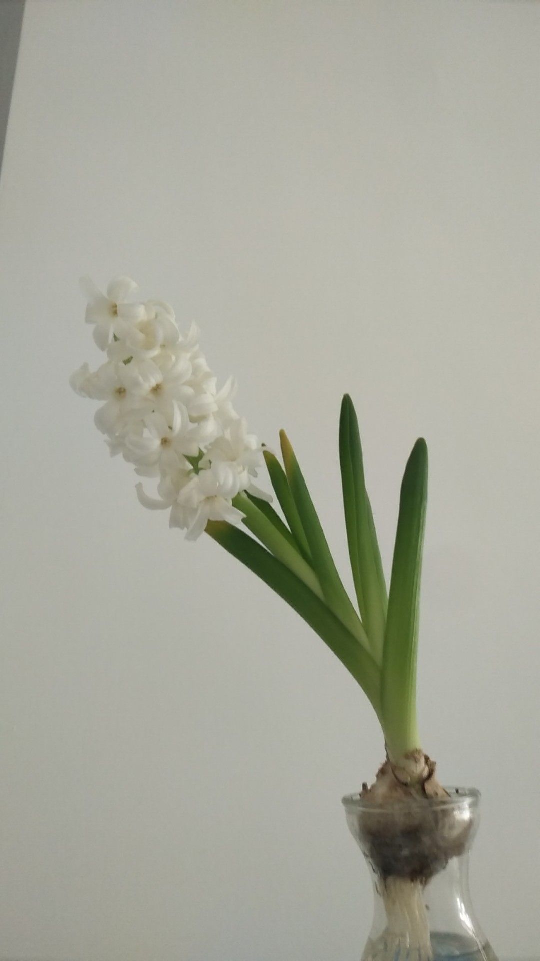 e2a5f23b61034906b55a8dd389b2b84f. e2a5f23b61034906b55a8dd389b2b84f.