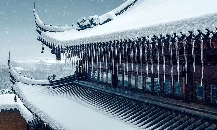 mmexport1585607579458