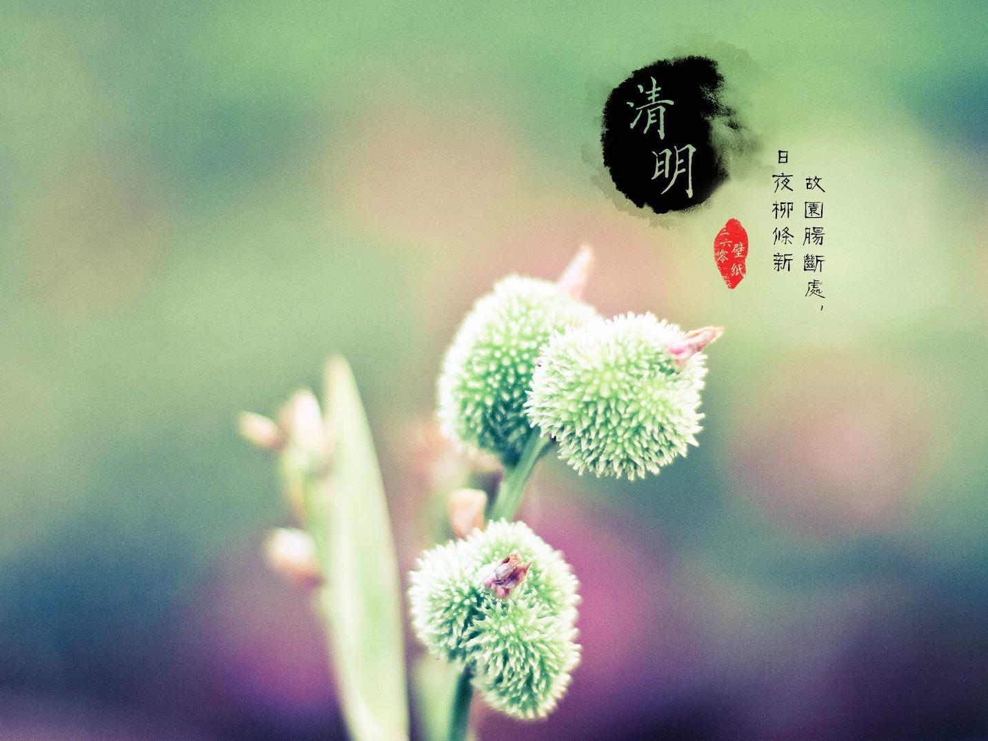 清明节4