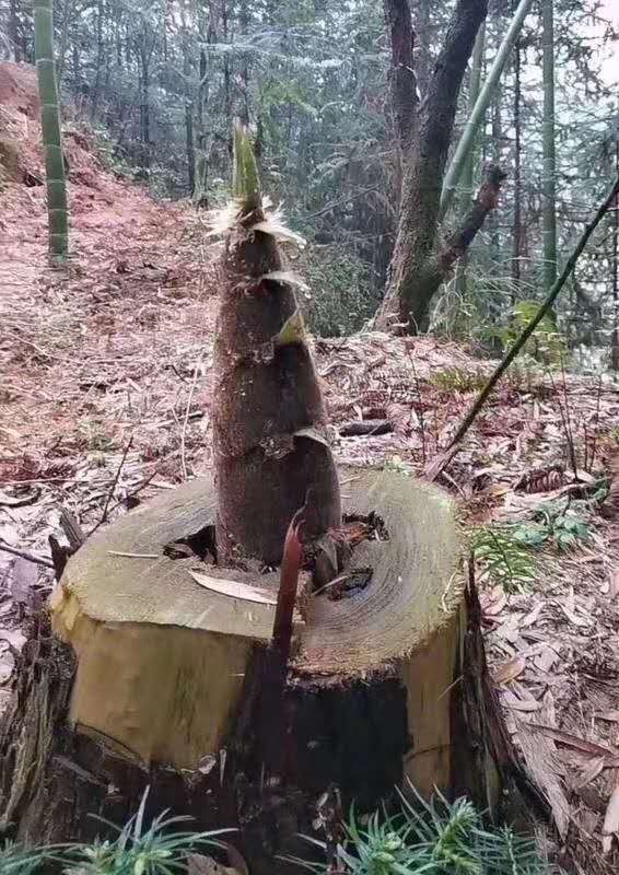 微信图片_20200406092103