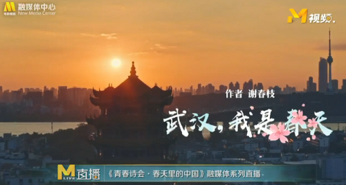 MAIN202004132305000155028445308