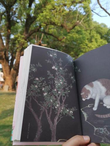 微信图片_20200423100639