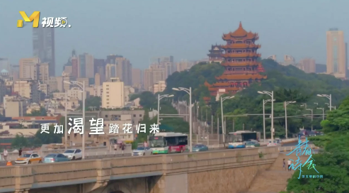 微信图片_20200426112210