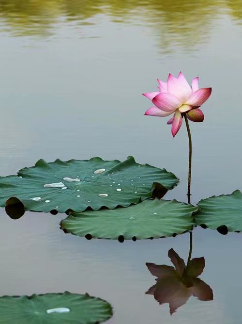 2345_image_file_copy_1