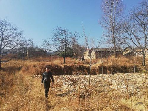 3611c7ab1a06650e77e5689204e6e2d