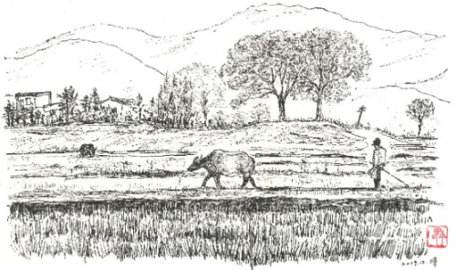 QQ浏览器截图20200519160357