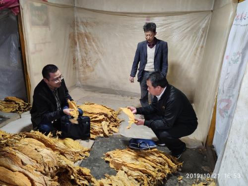 微信图片_202005211113104