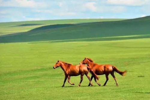 微信图片_20200524131703