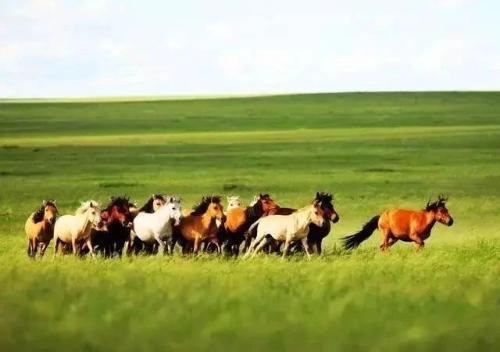 微信图片_20200524131713