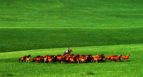 微信图片_20200524132218