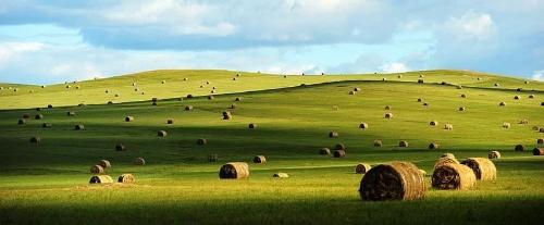 微信图片_20200524132225