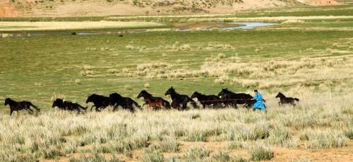 微信图片_20200524132427