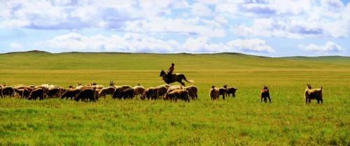 微信图片_20200524132430