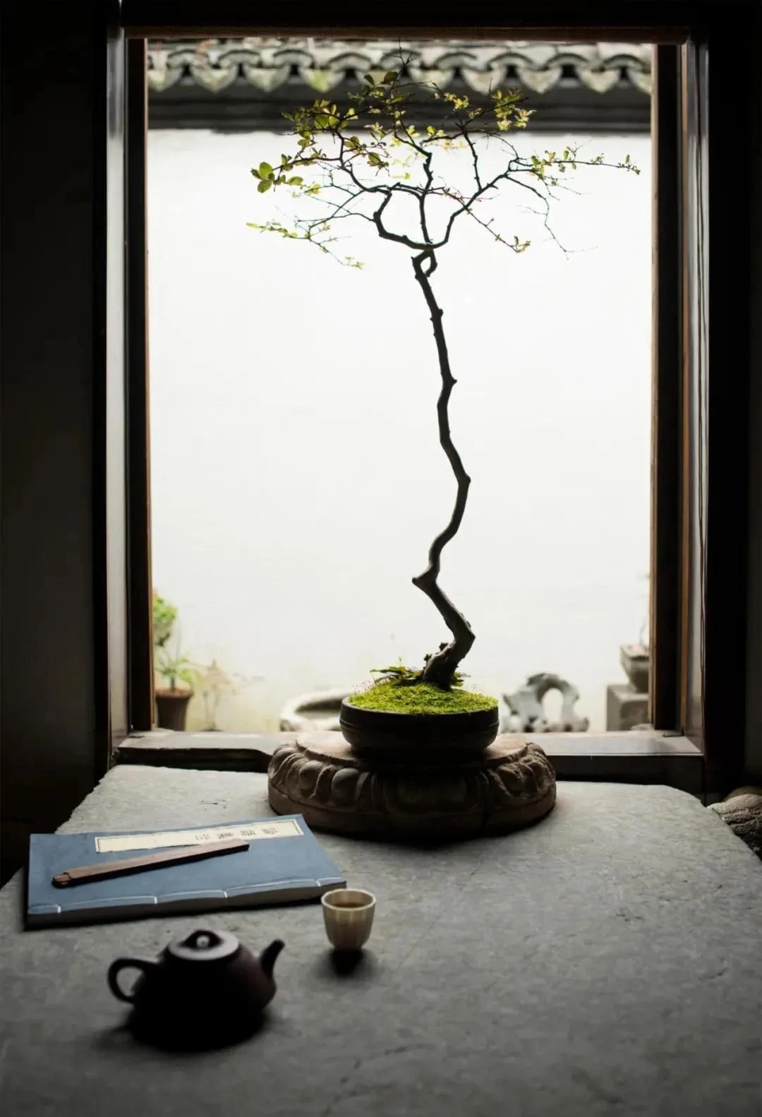 mmexport1589692986645