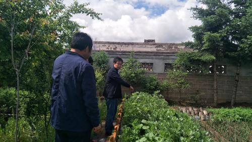 95bb1e326d97be6ca7cce8d6c19acea