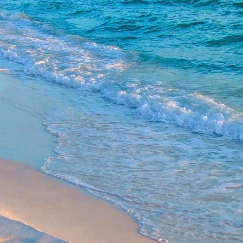 微信图片_20200605095437