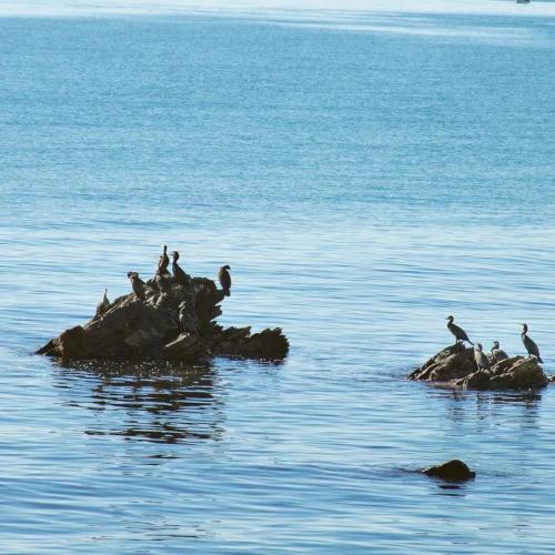 微信图片_20200605095440